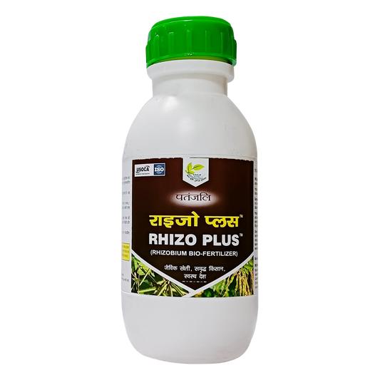 Patanjali 【Patanjali】 RHIZO｜リゾ｜500g｜現地直輸入で買える日本国内最安級【インドの森】