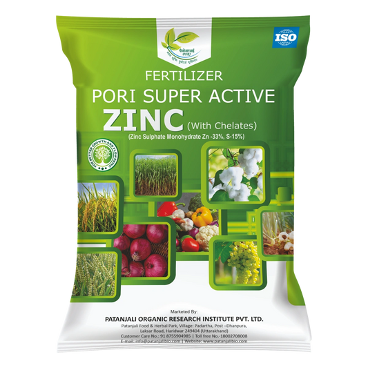 Patanjali 【Patanjali】 Pori Super Active Zinc｜スーパーアクティブ亜鉛｜250g｜現地直輸入で買える日本国内最安級【インドの森】