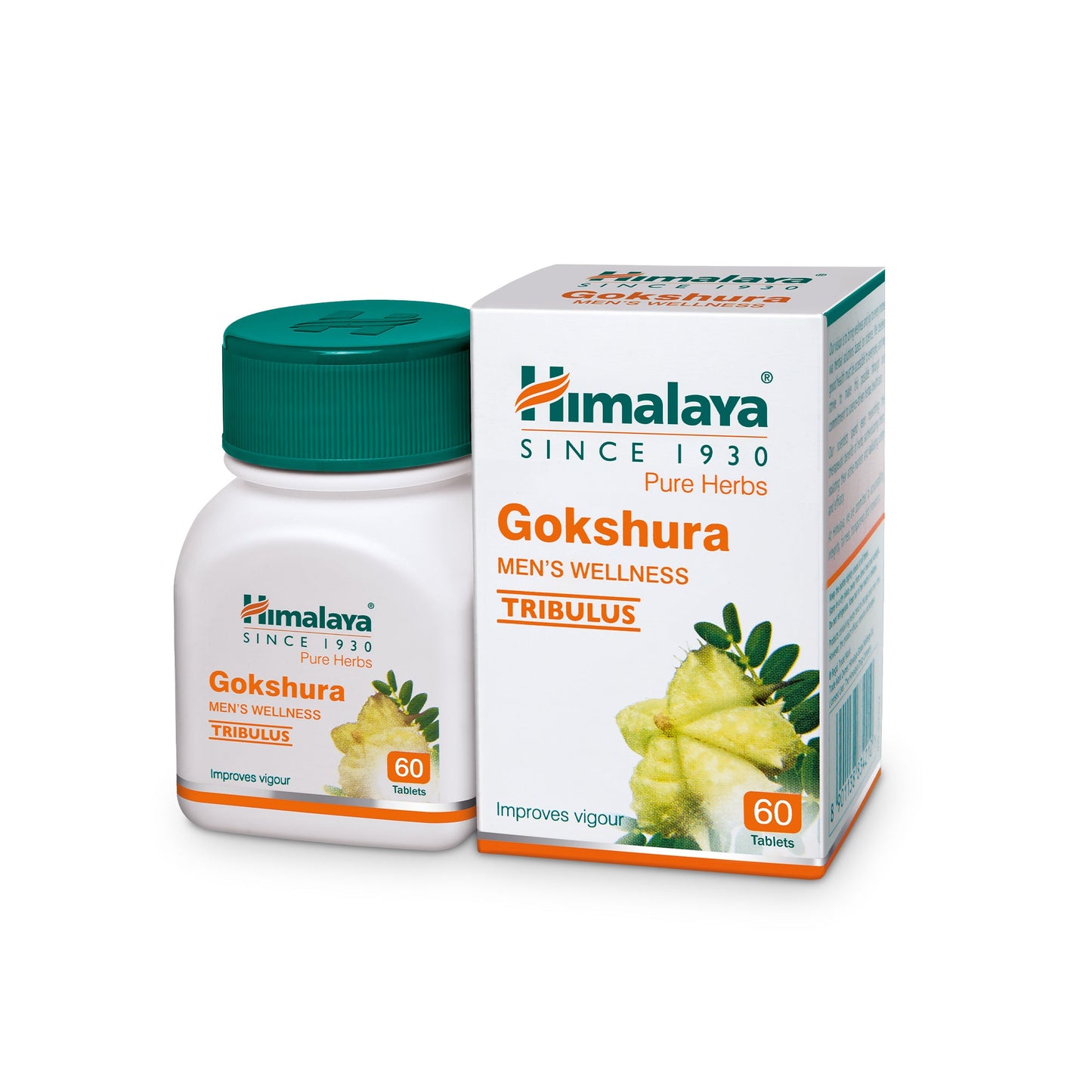 【Himalaya】 Gokshura｜ゴクシュラ