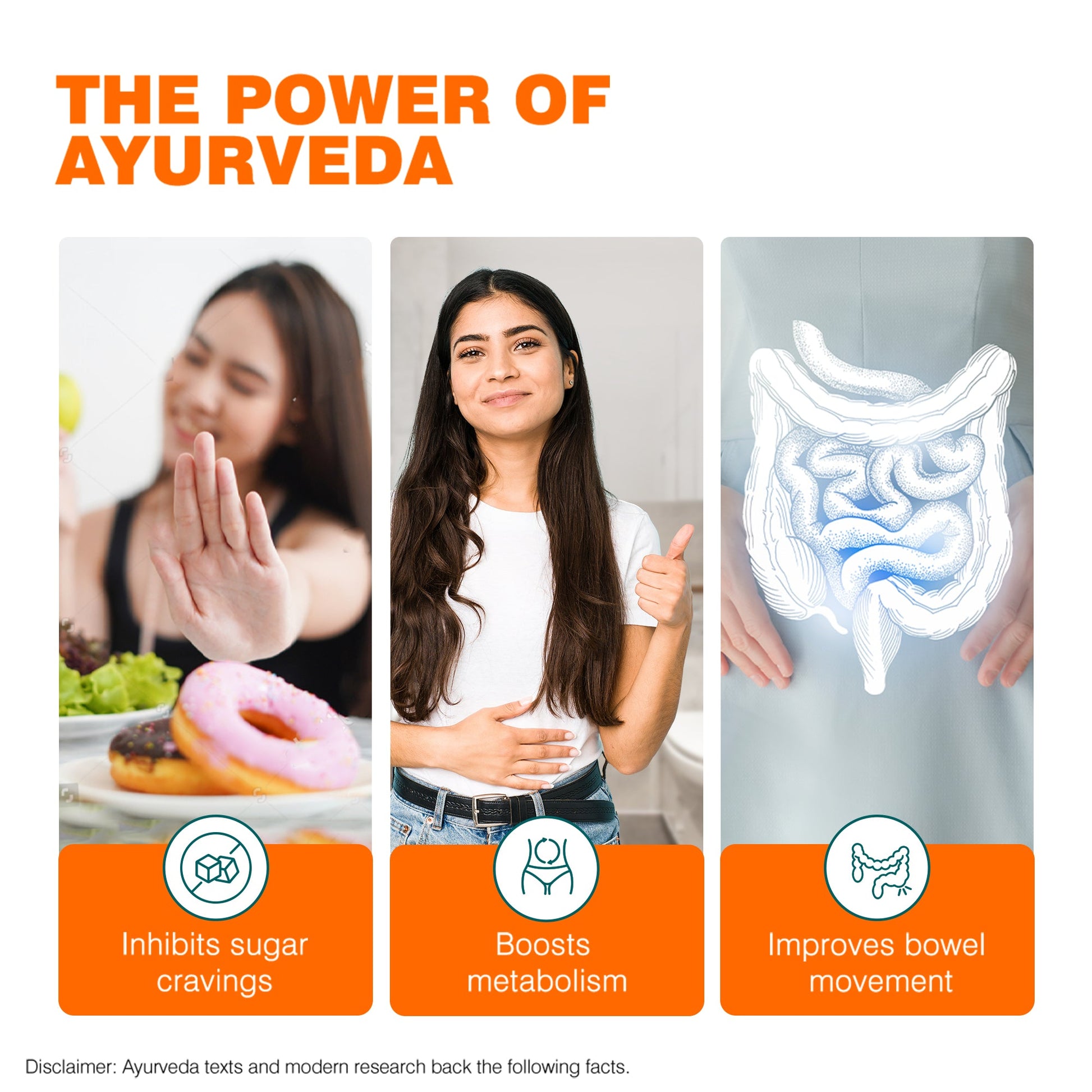 Ayurslim Capsules 60 Capsules