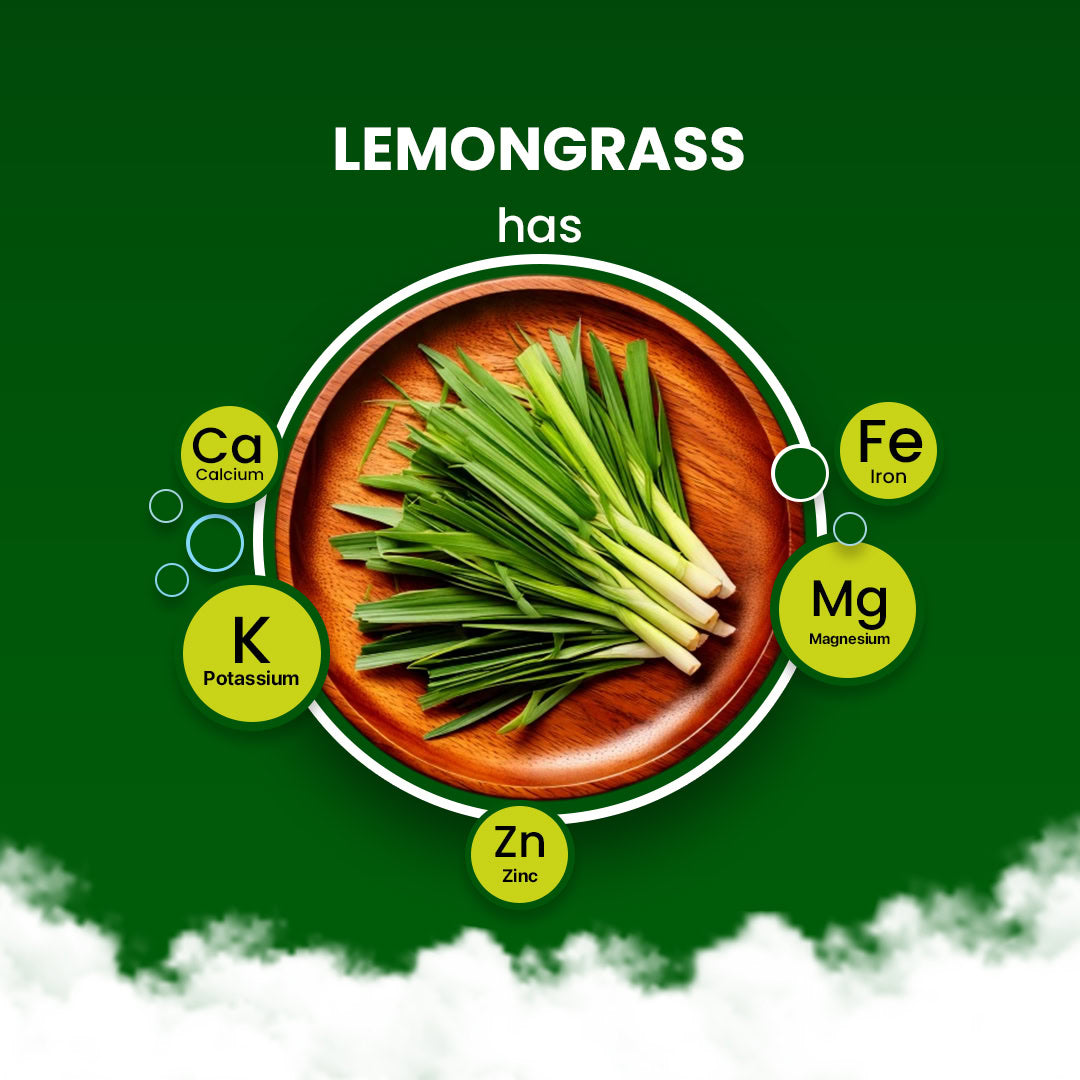 Lemongrass Herbal Tea - 60 Tea Bags 60 Tea Bags