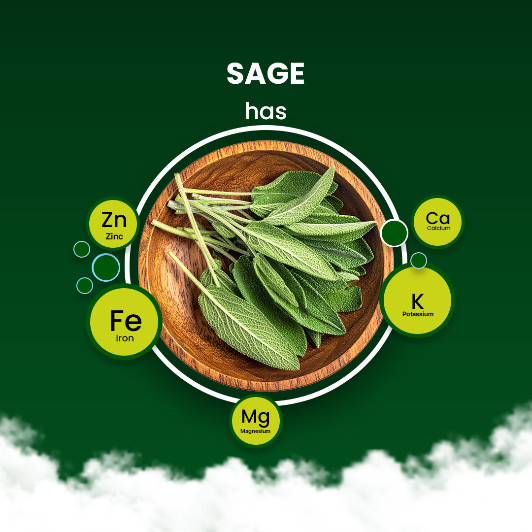 Sage Herbal Tea - 60 Tea Bags 60 Tea Bags