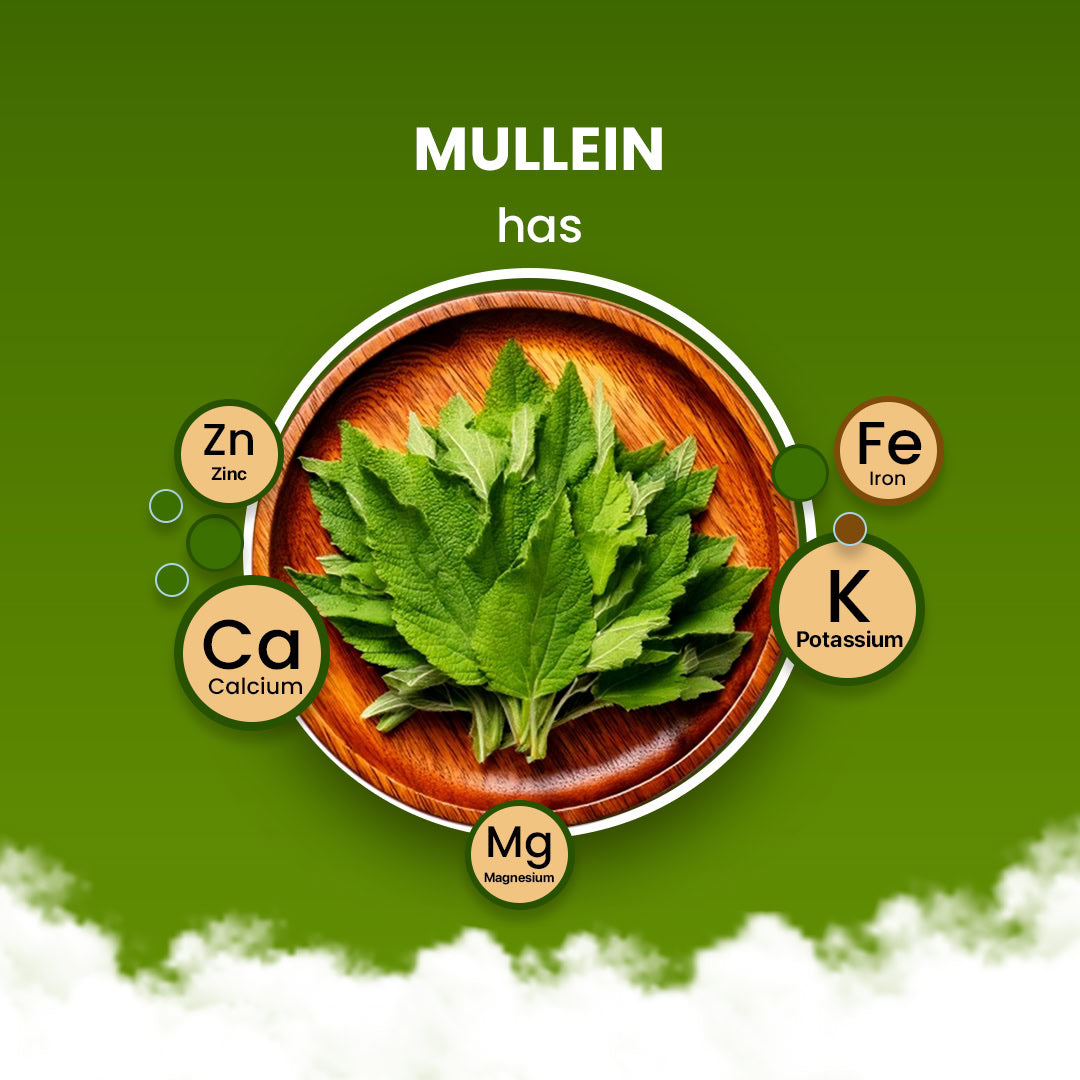 Mullein Herbal Tea - 200g 200G