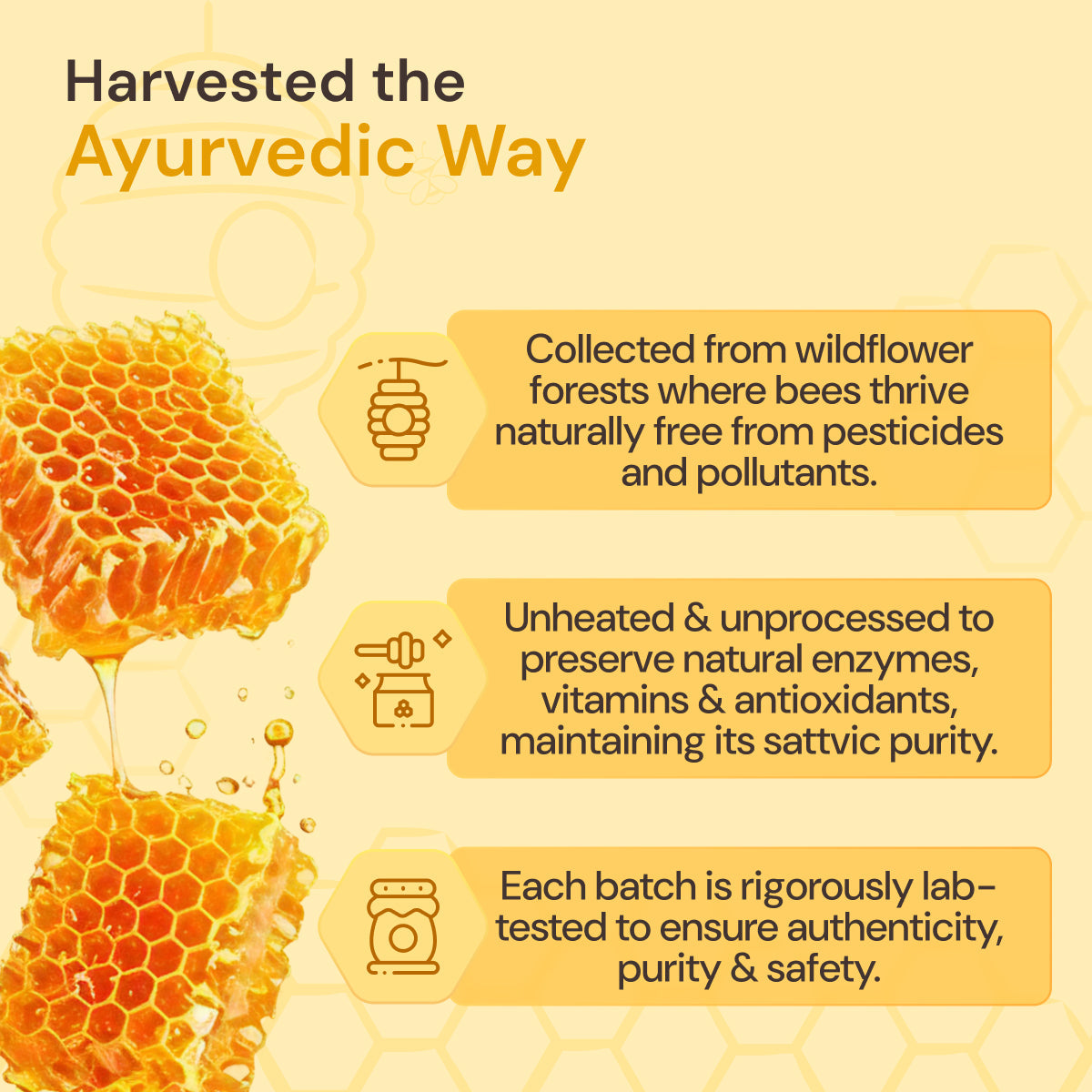 Organic Honey: Pure & Natural | Ayurvedic Rejuvenation