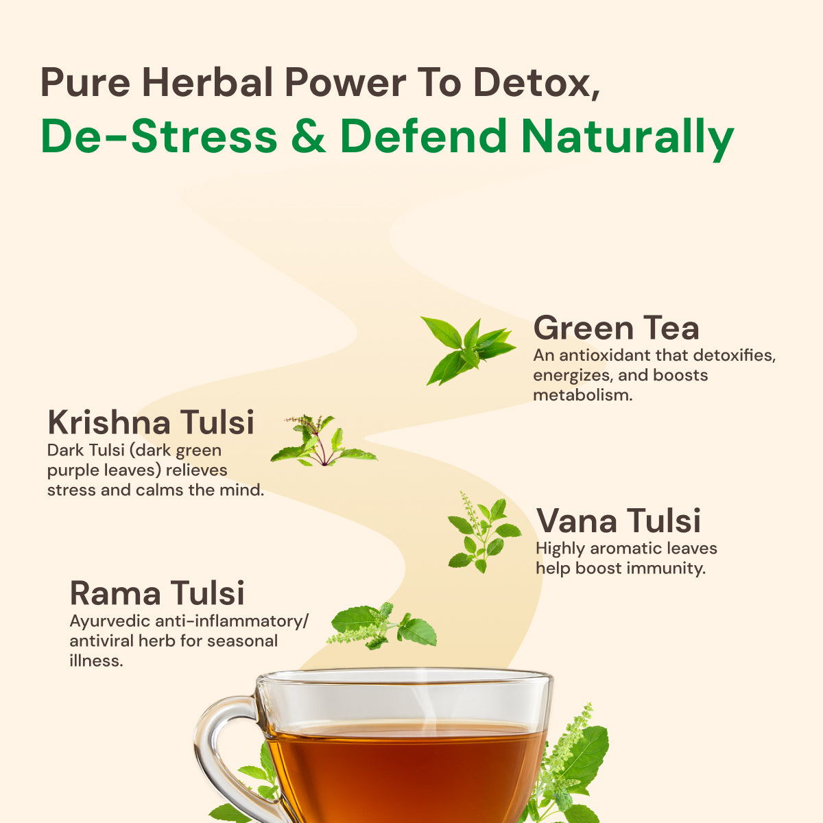Tulsi Green Tea Premium | Organic Ayurvedic Blend