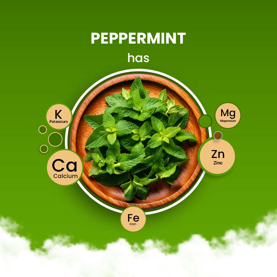 Peppermint Herbal Tea - 60 Tea Bags 60 Tea Bags