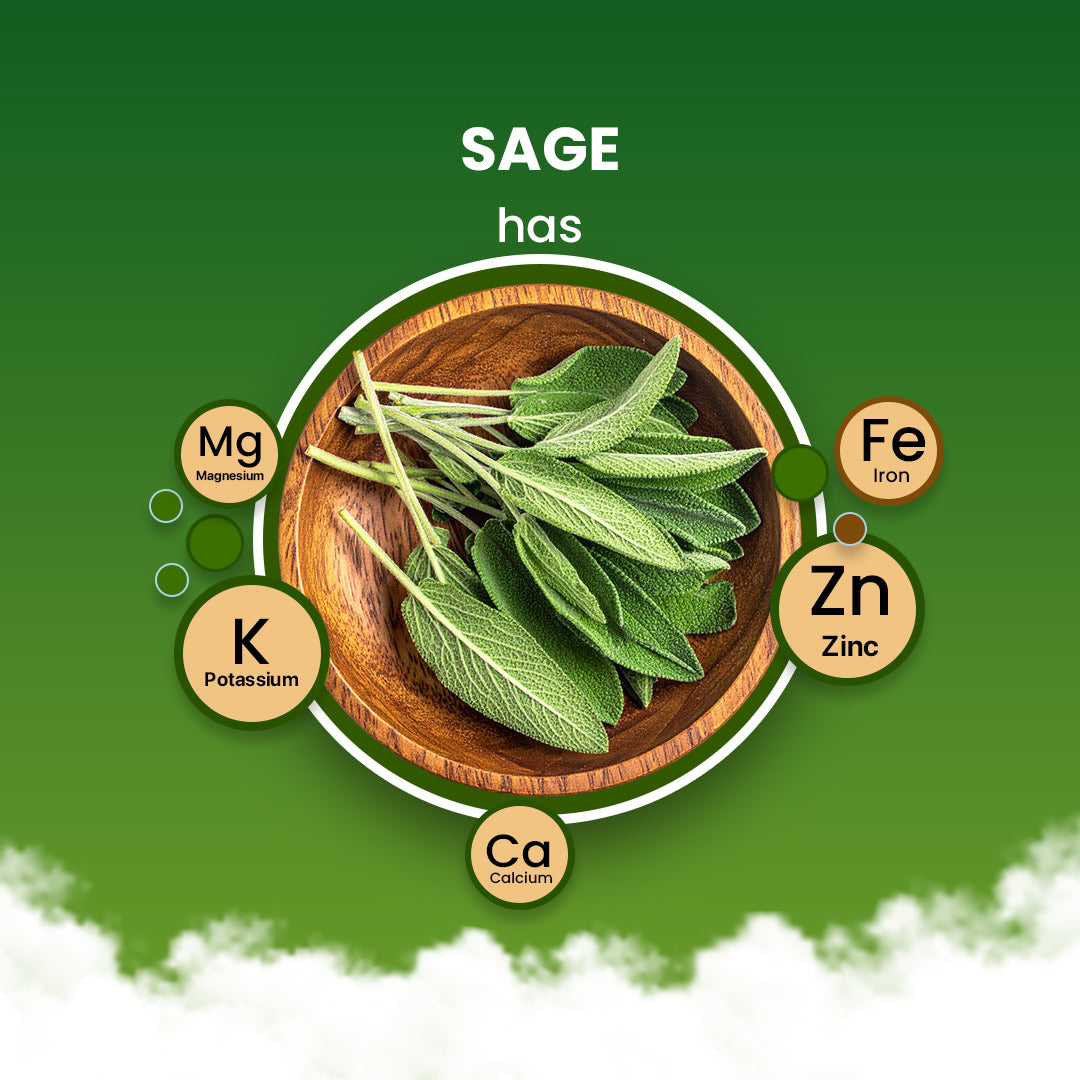Sage Leaves - 100g 100G