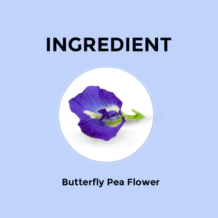 Butterfly Pea Herbal Tea  Sampler Packs - 6 Flavors
