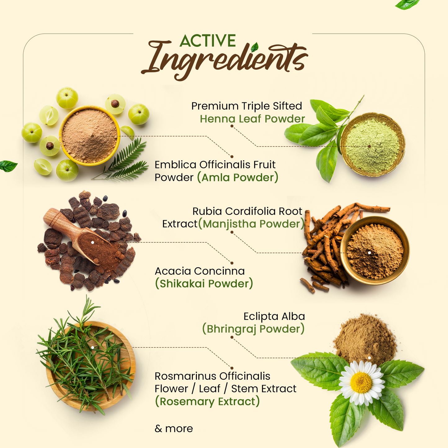 KAVERI Ready to Use Henna Paste for Hair – Natural Hair Color with Henna, Amla & Shikakai – Rich Brown Shade – 250g 250g