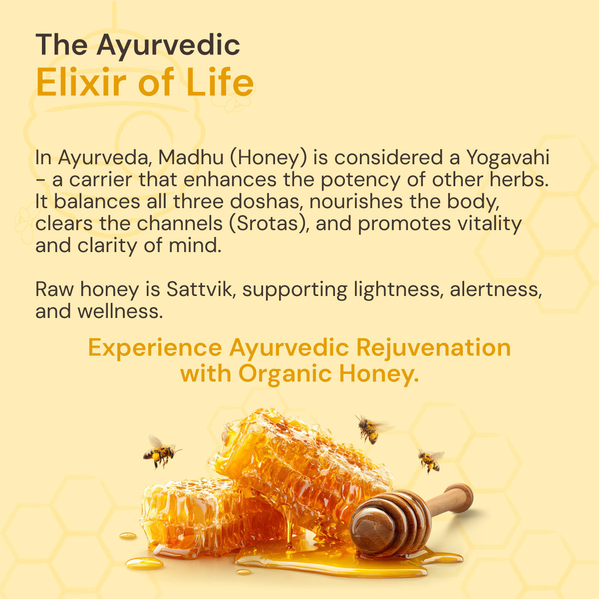 Organic Honey: Pure & Natural | Ayurvedic Rejuvenation