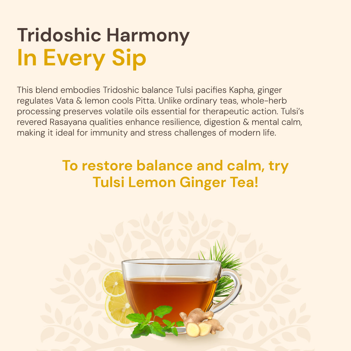 Tulsi Lemon Ginger Tea | Supports Immunity & Digestion