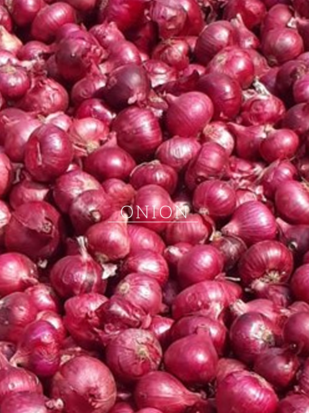 Onion & Fenugreek Hair Oil - Mineral Oil, Silicones, Synthetic Fragrance Free 200ml