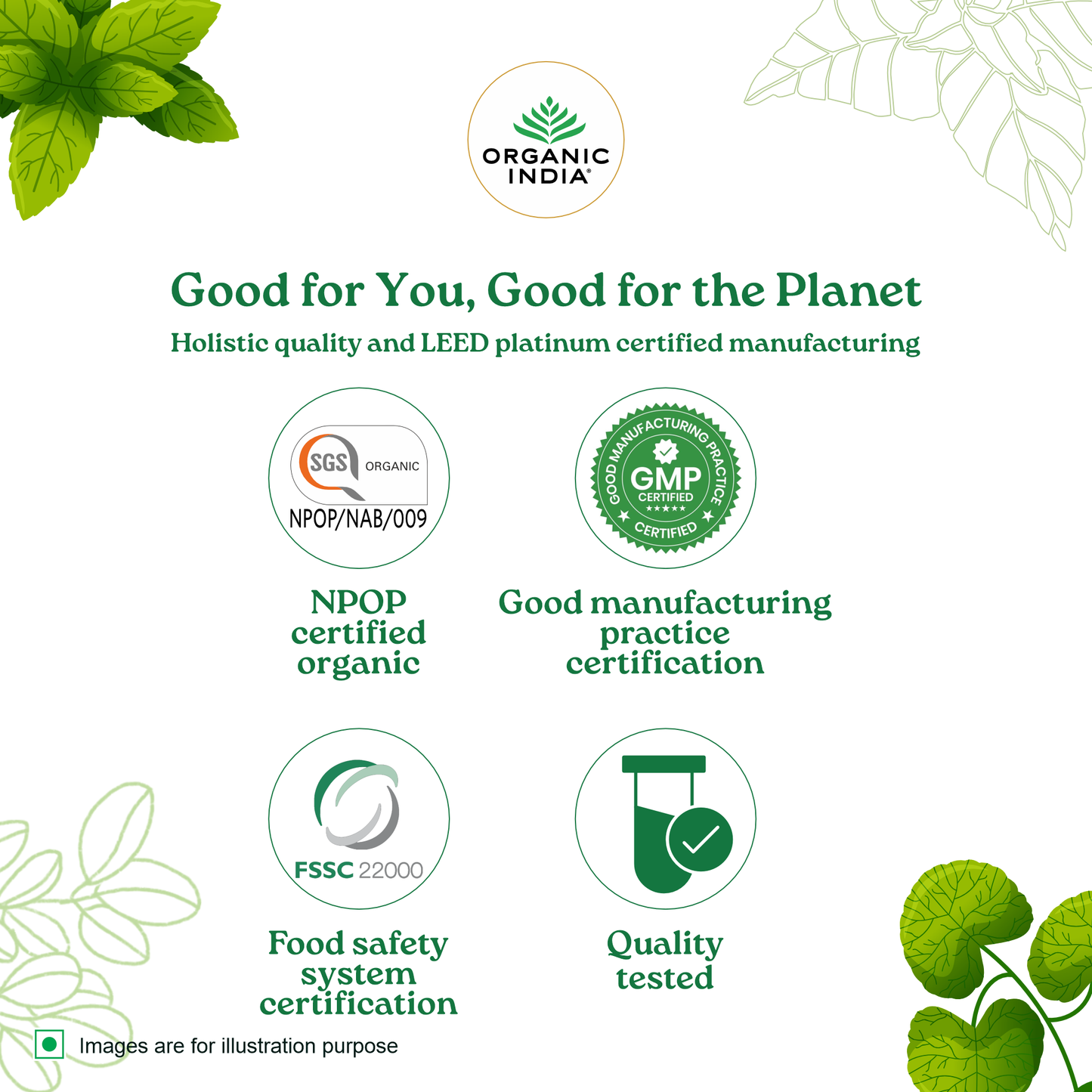 Tulsi Original & Moringa Powder Combo