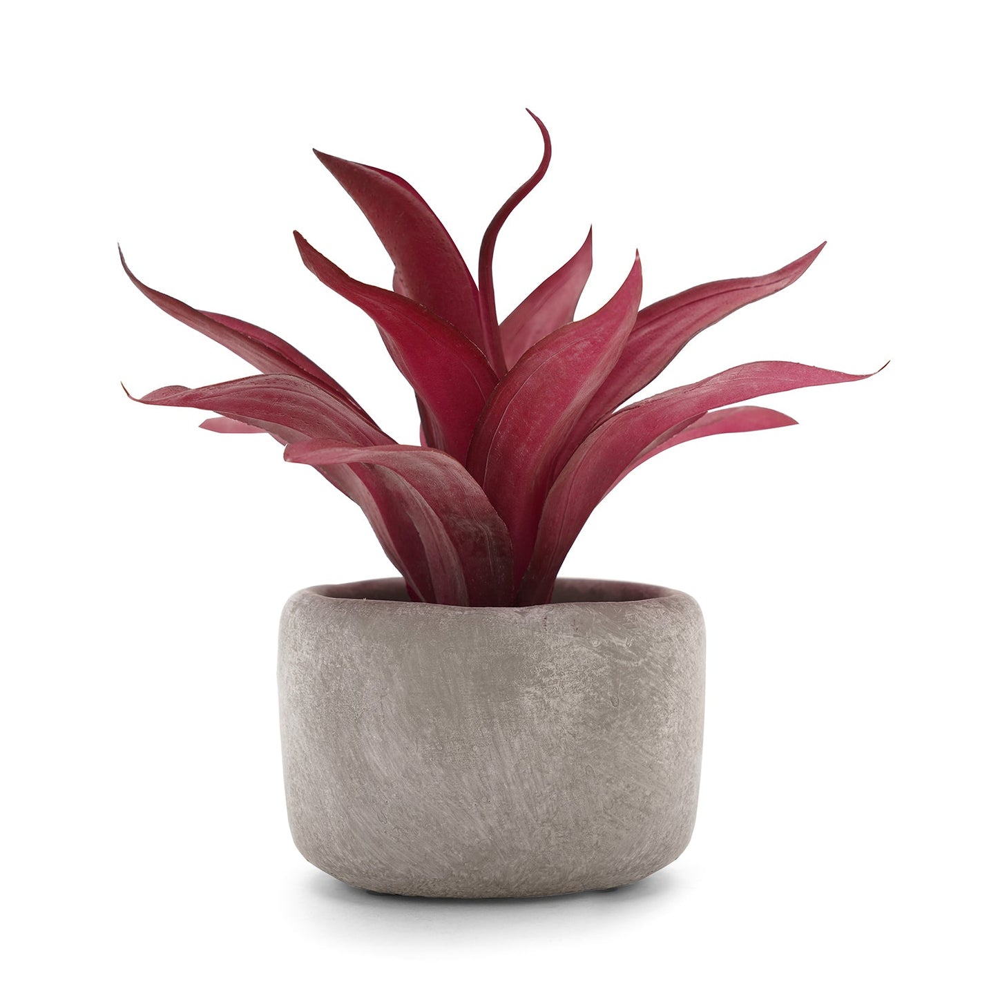 Red Artificial Agave Plant with Cement Pot