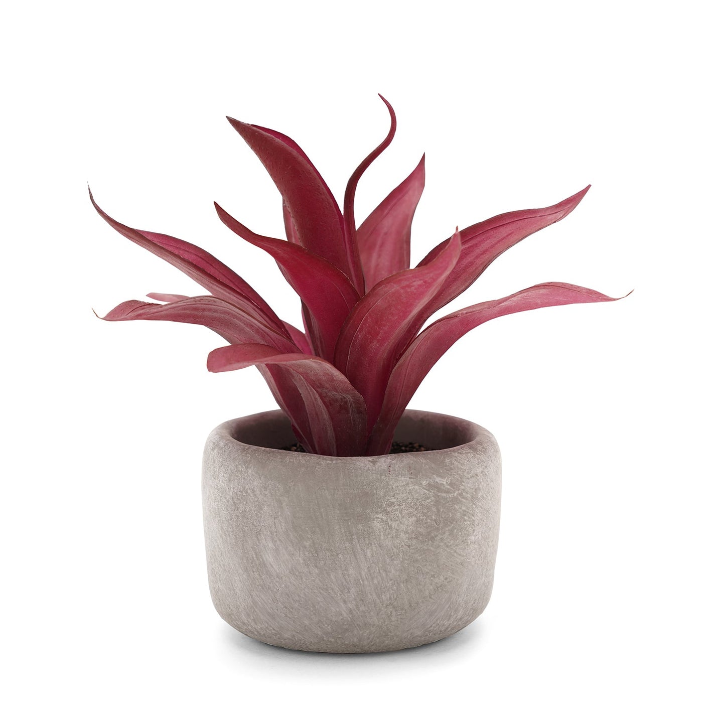 Red Artificial Agave Plant with Cement Pot