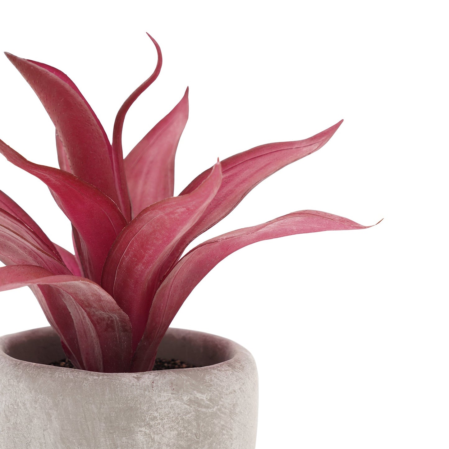 Red Artificial Agave Plant with Cement Pot