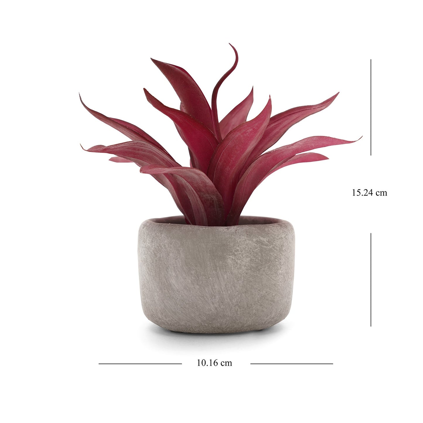 Red Artificial Agave Plant with Cement Pot