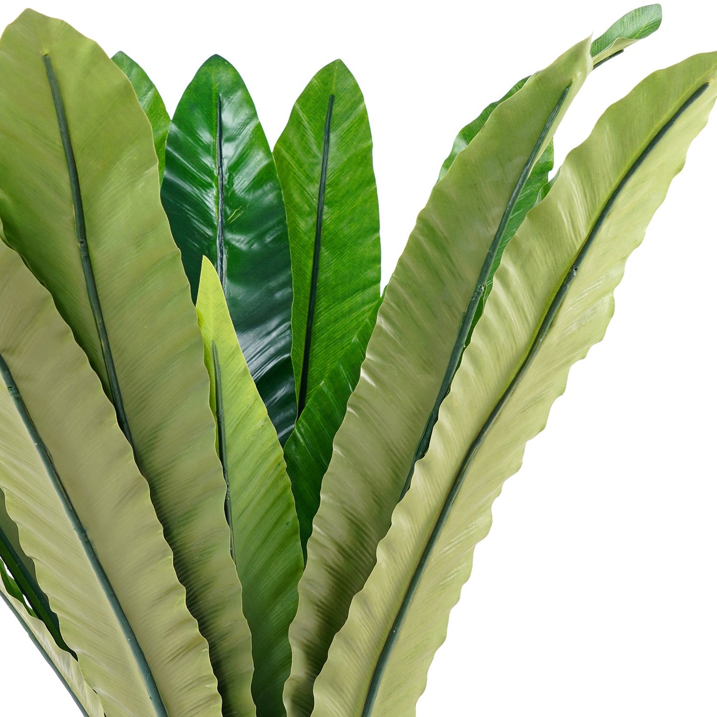 Green Artificial Birds Nest Fern Potted Plant