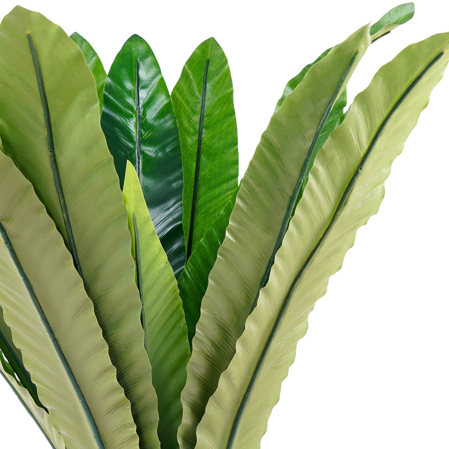 Green Artificial Birds Nest Fern Potted Plant