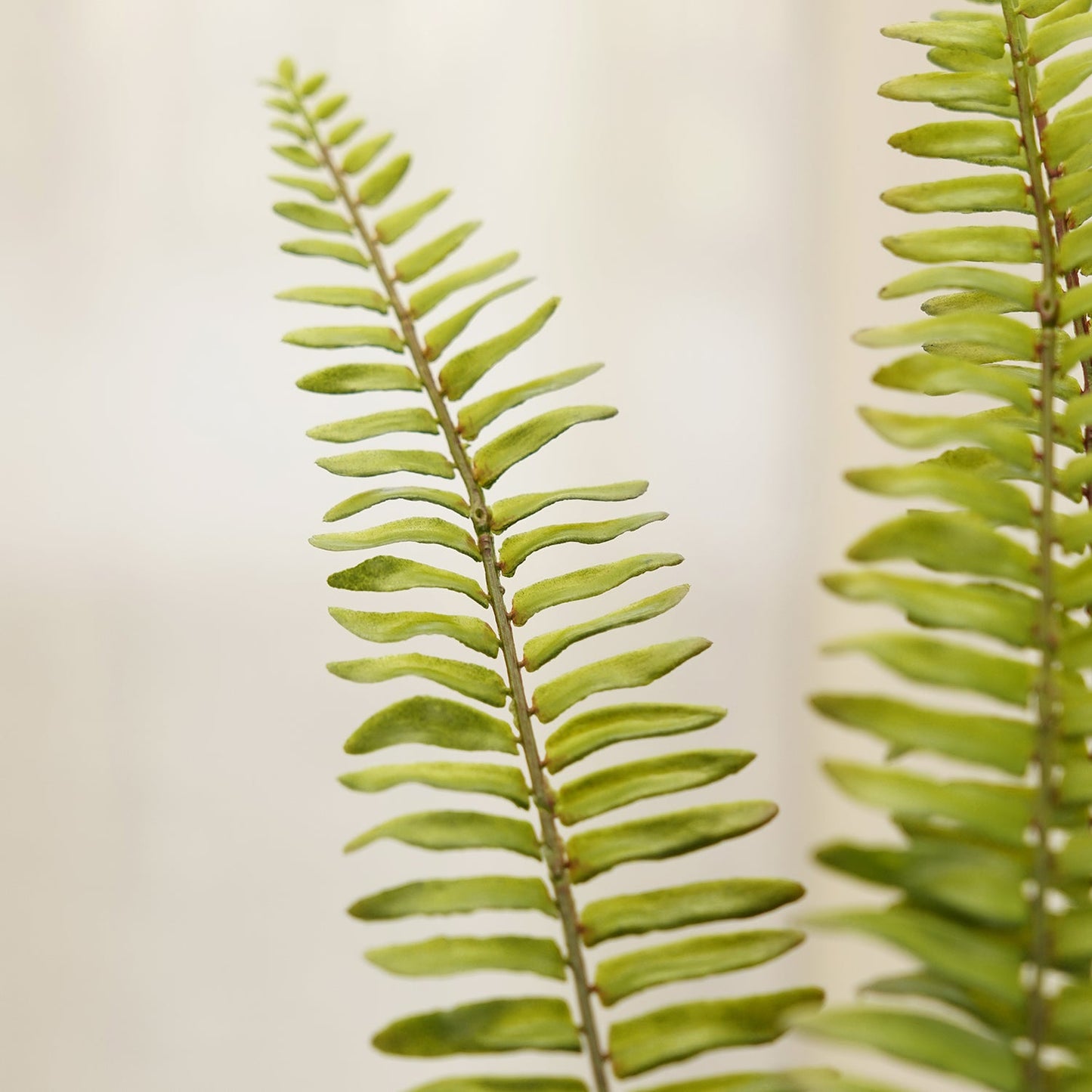 Green Artificial Fern Leaf Spray - Single