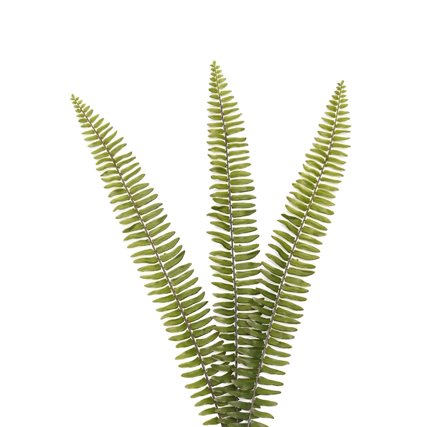 Green Artificial Fern Leaf Spray - Single