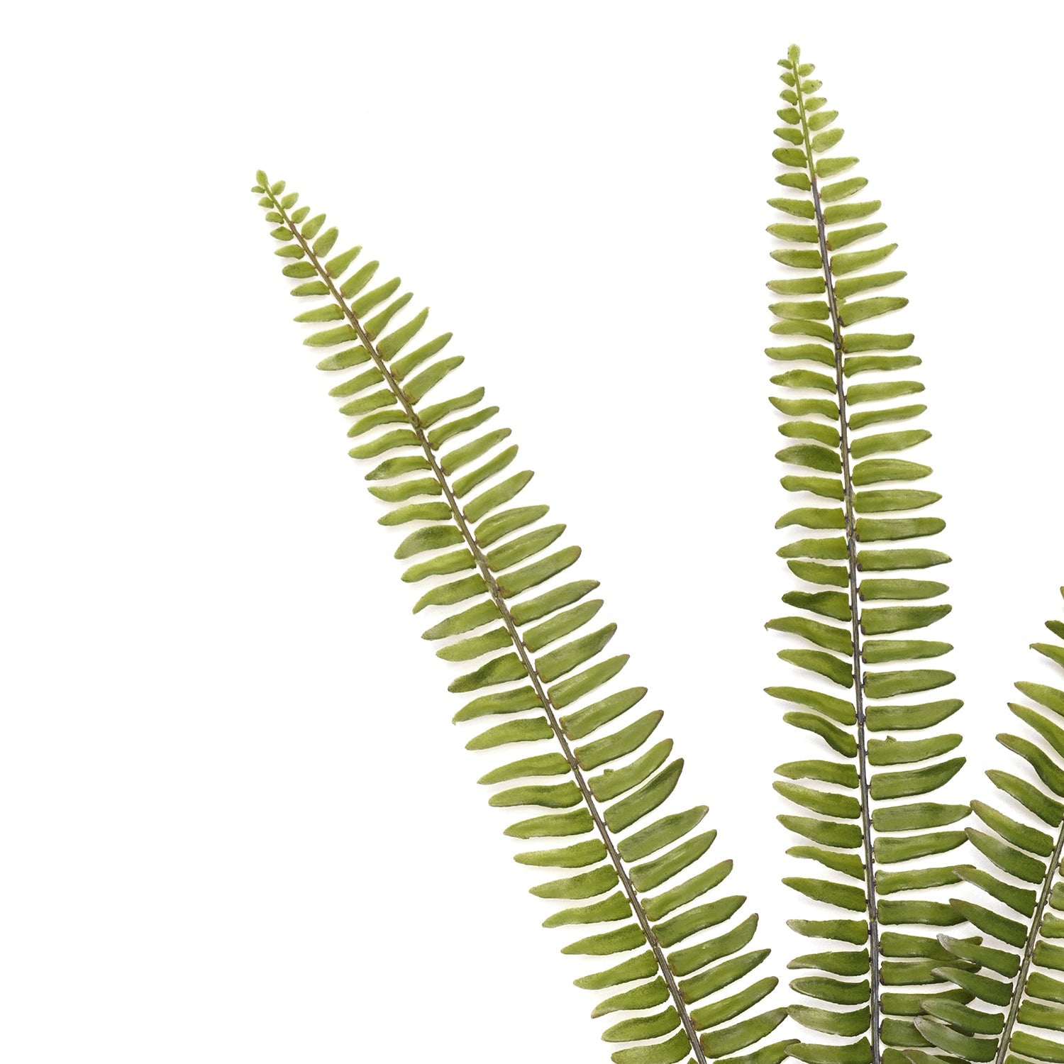 Green Artificial Fern Leaf Spray - Single