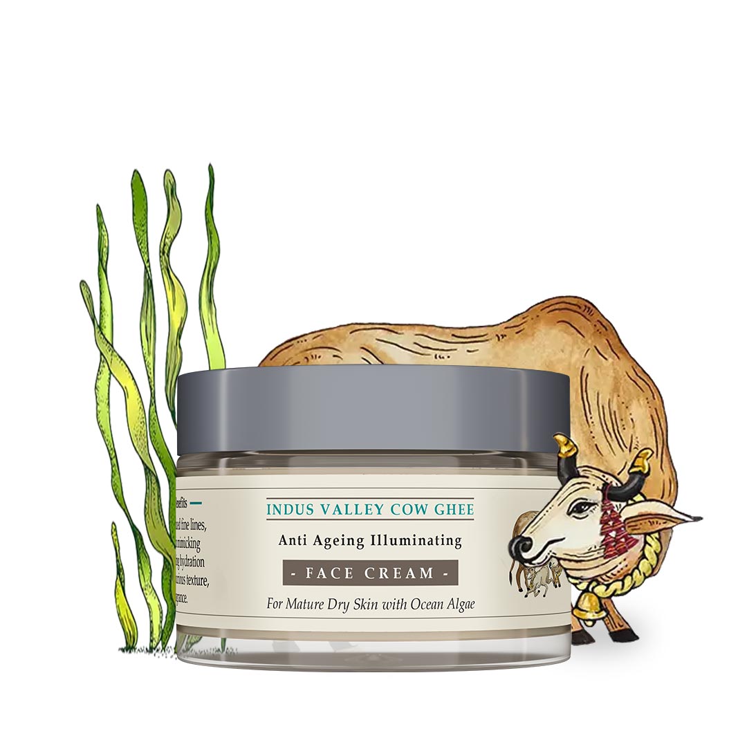 Indus Valley Cow Ghee Anti Ageing Face Cream For Dry Skin 50g