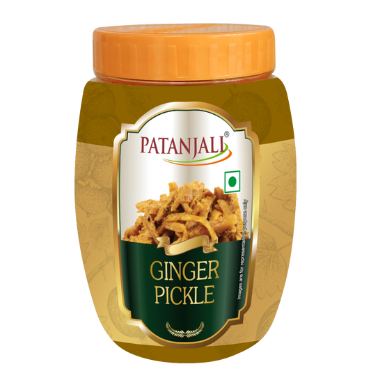 【Patanjali】 Patanjali Ginger Pickle 500g｜パタンジャリ ジンジャーピクルス｜500g