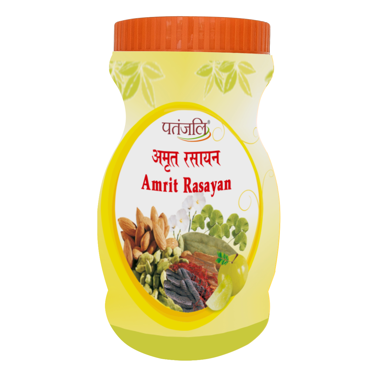 Patanjali Amrit Rasayan (1 kg)