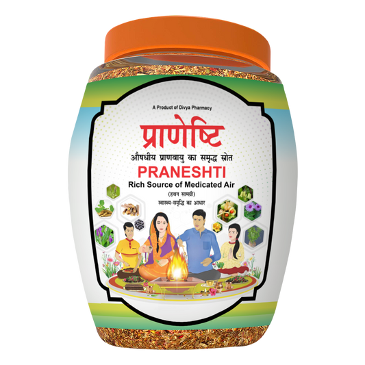 Divya Praneshti (Hawan Samagri) (400 Gram)