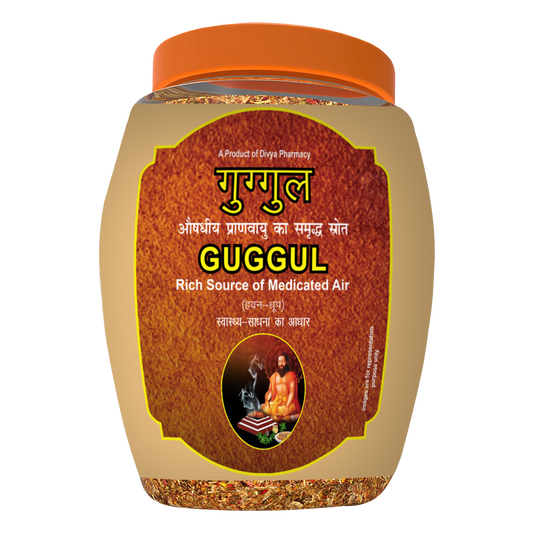 Divya Guggul Havan Dhoop Jar (250 Gram)