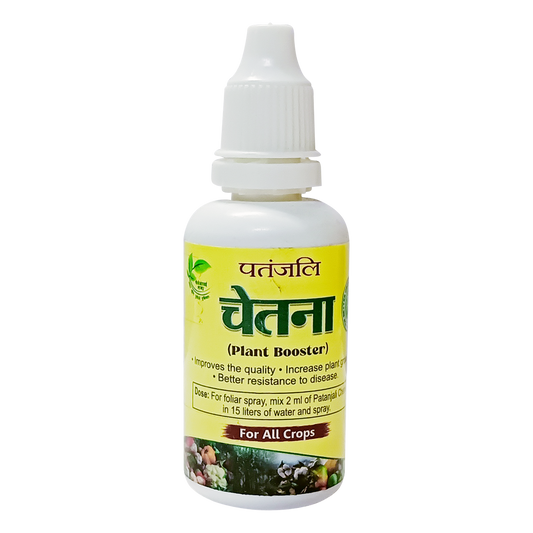 Patanjali Chetna