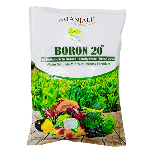 PATANJALI BORON 20