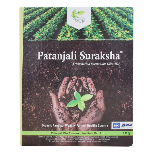 Patanjali Suraksha