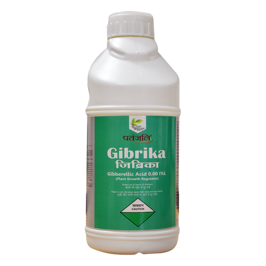 【Patanjali】 Patanjali Gibrika 500g｜パタンジャリ ギブリカ｜500g