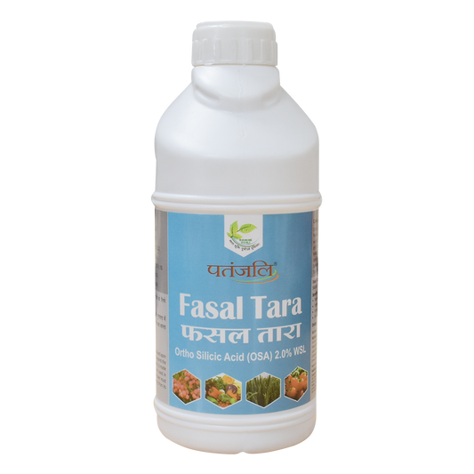 【Patanjali】 Patanjali Fasal Tara 500g｜パタンジャリ ファサルタラ｜500g