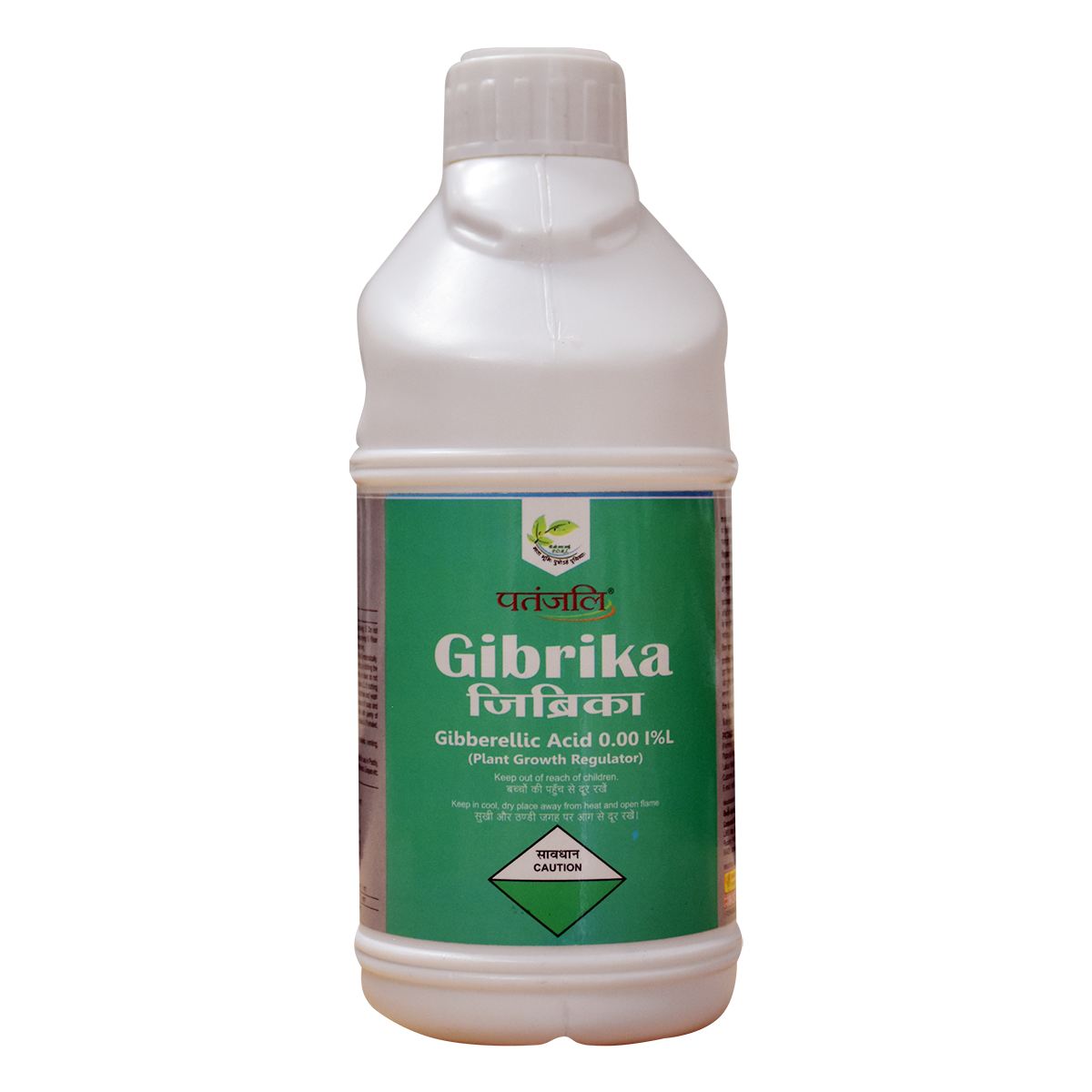 Patanjali Gibrika 250g