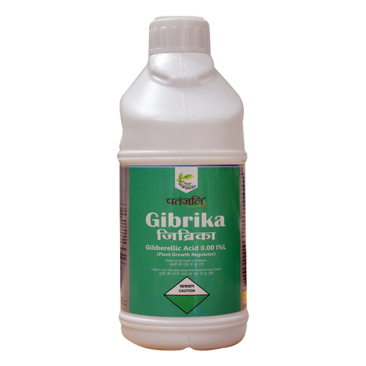 【Patanjali】 Patanjali Gibrika 250g｜パタンジャリ ギブリカ｜250g