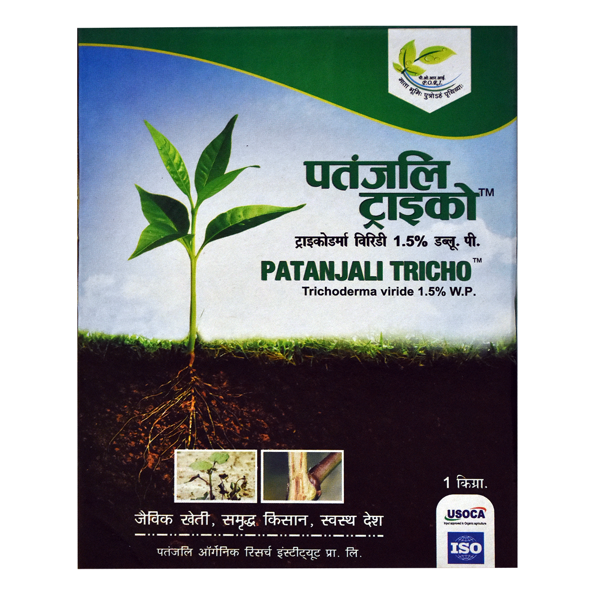 Patanjali Tricho (1 kg)