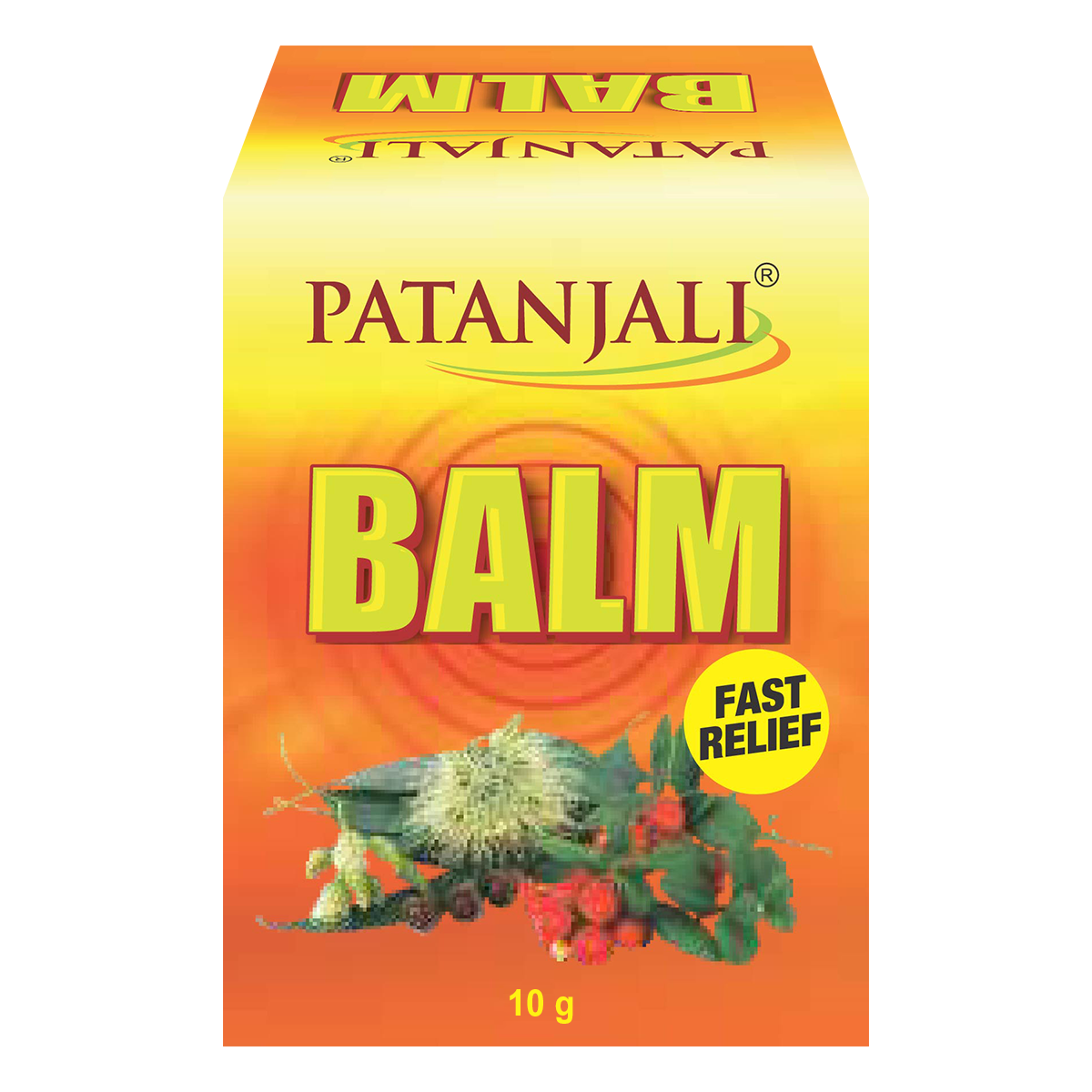 Patanjali Balm 10g