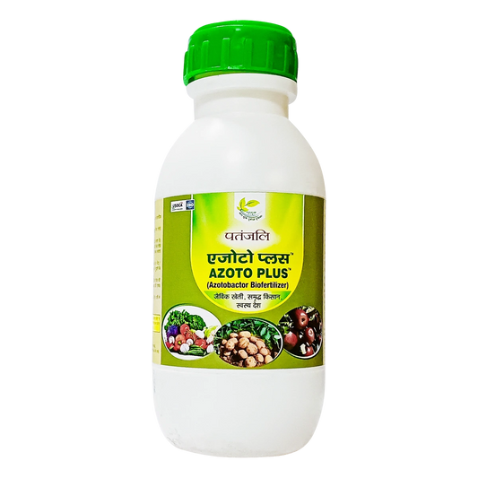PATANJALI AZOTO