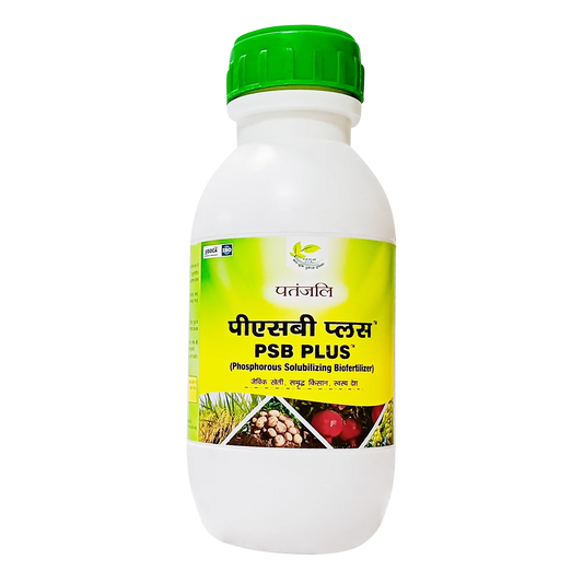PATANJALI PSB