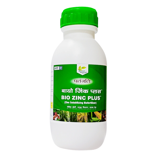 PATANJALI BIO ZINC