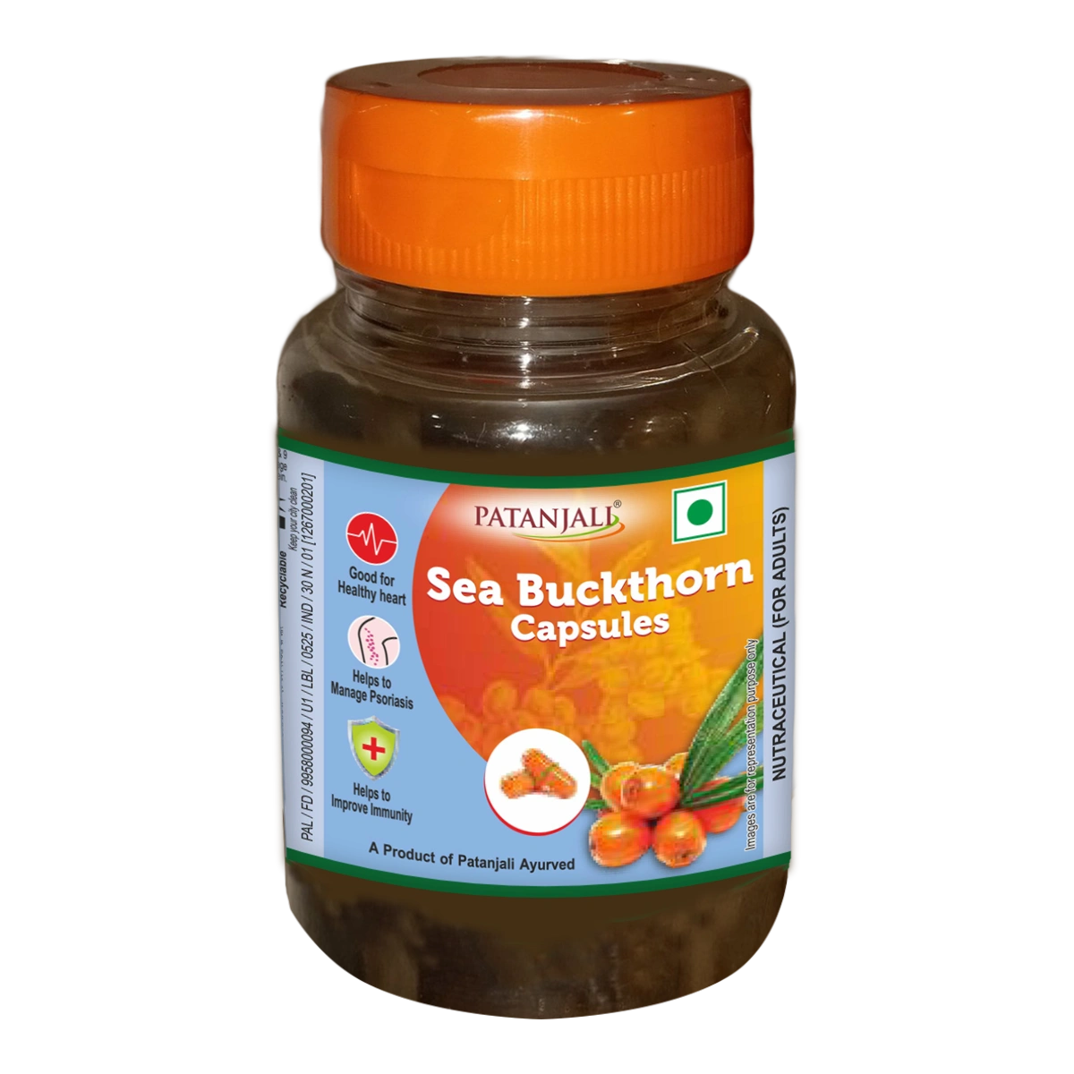 Sea Buckthorn Capsule (15 Gram)