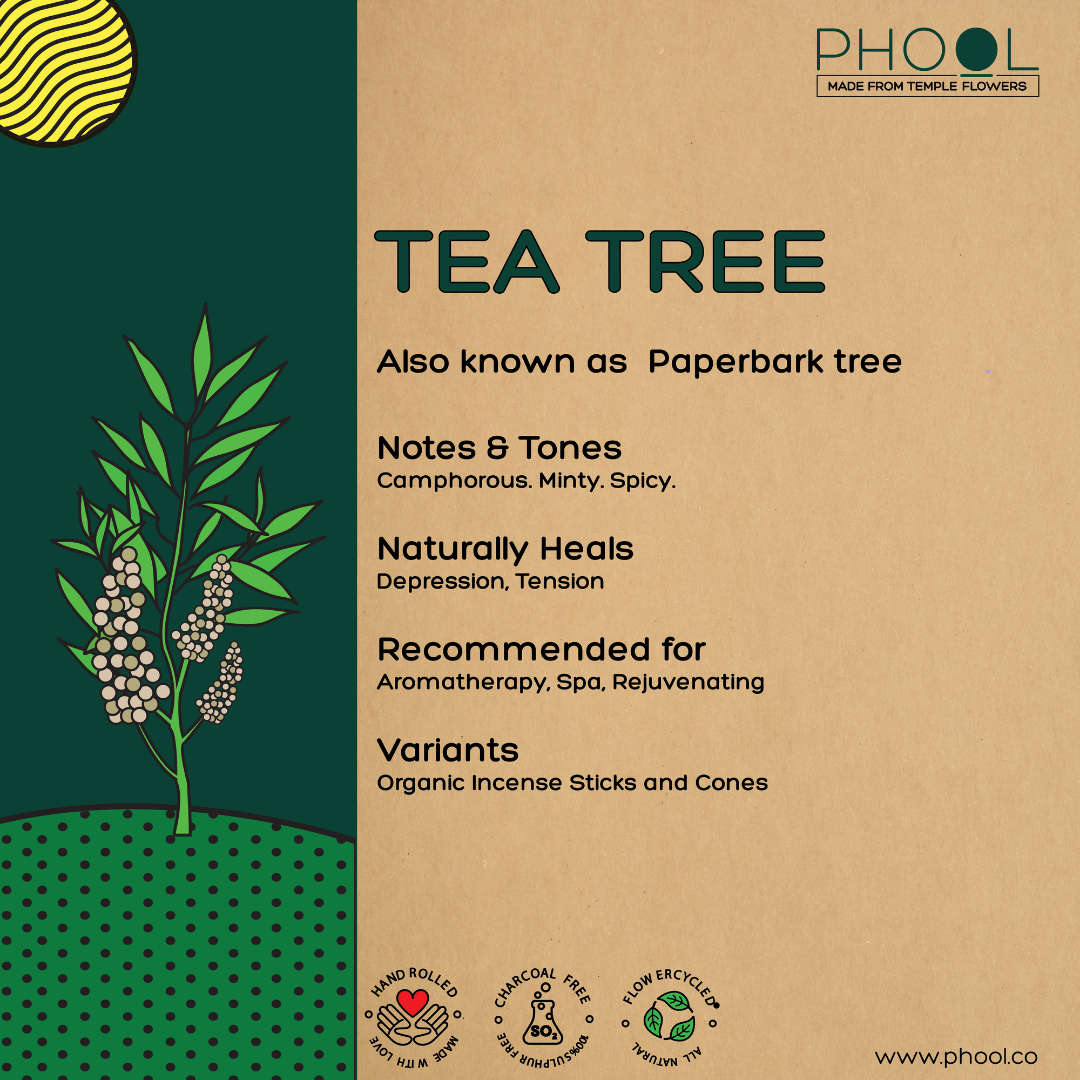 Natural Incense Cones – Tea Tree