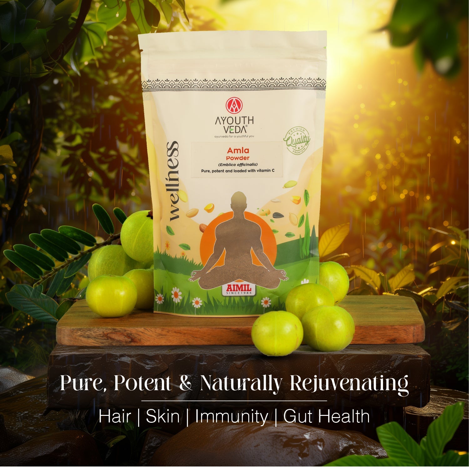 Amla Powder – Indian Gooseberry for Immunity, Hair, and Skin Wellness - Net Qty: 200g 200g