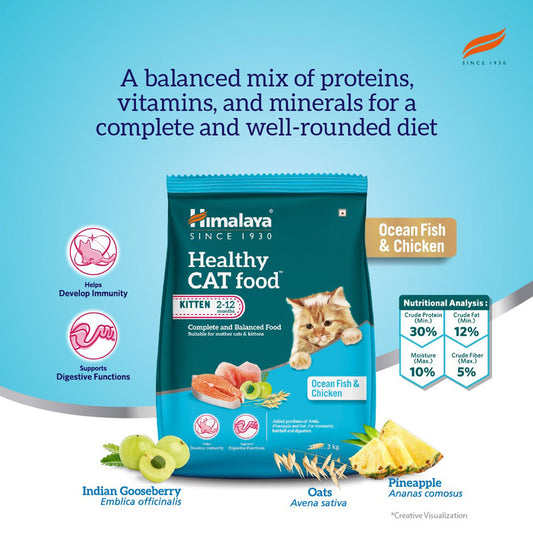 Healthy CAT food Kitten – Ocean Fish and Chicken 400g