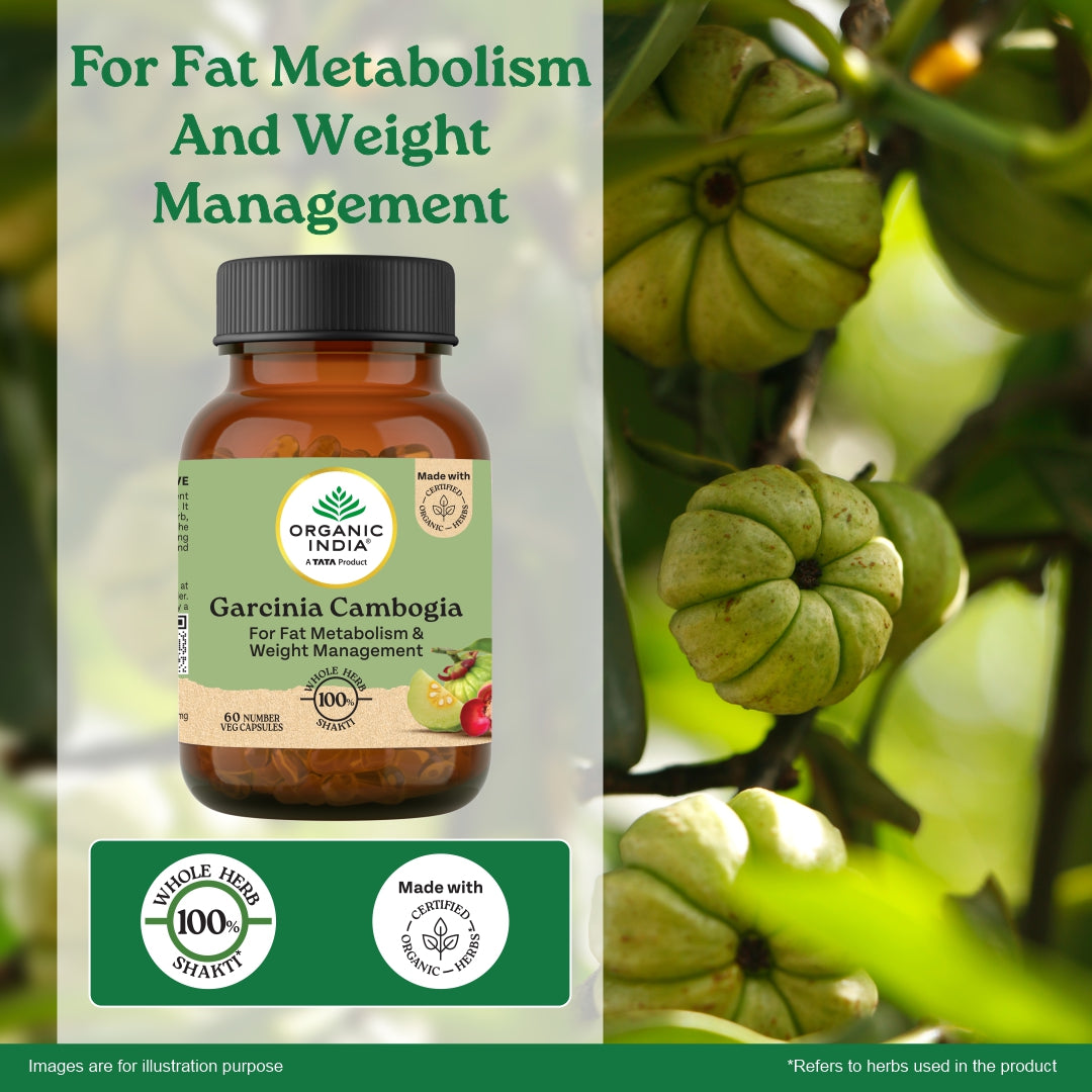 Garcinia Cambogia Capsules