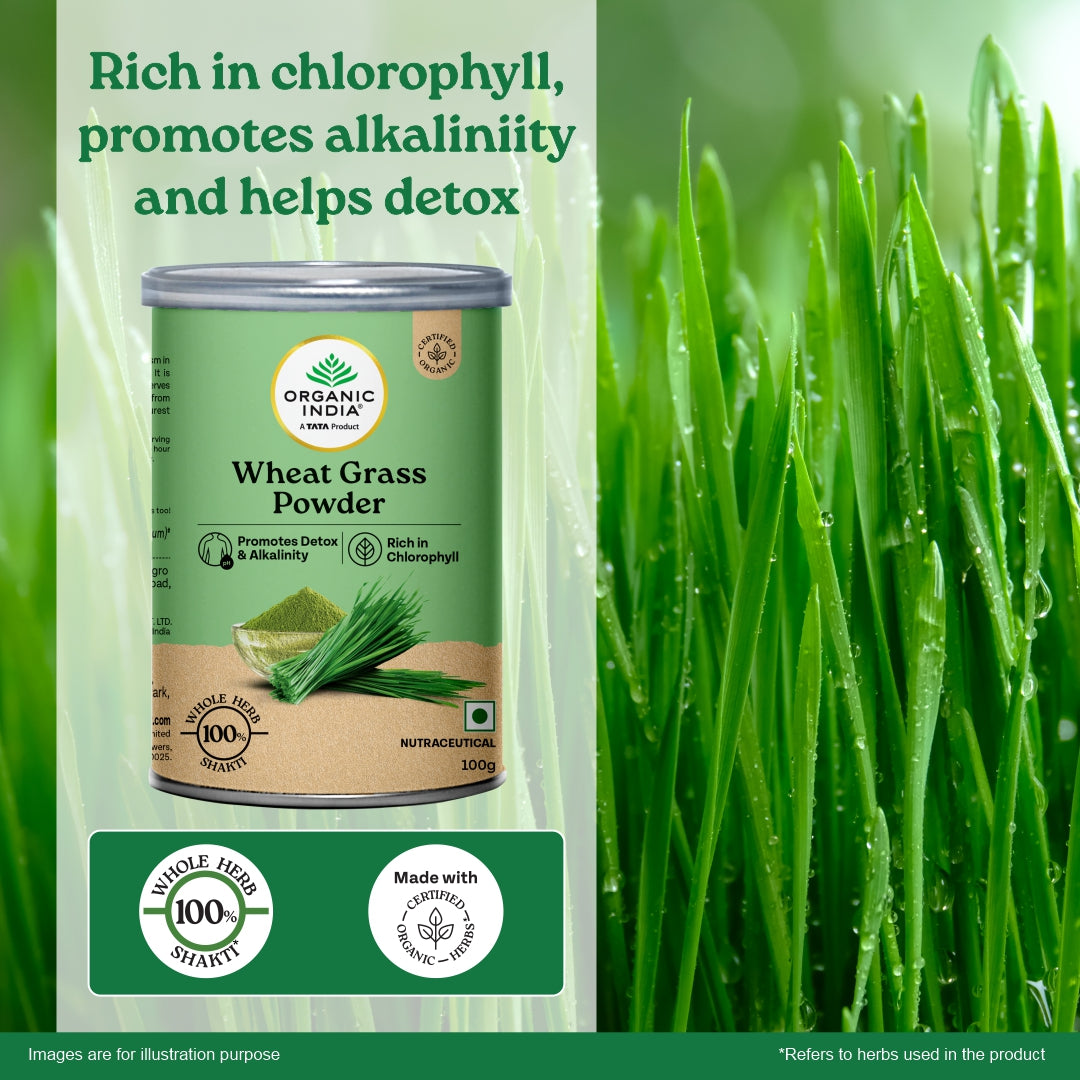 Wheatgrass Powder