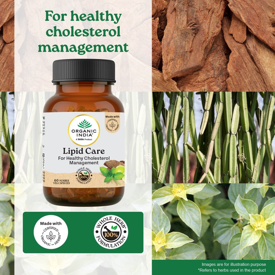 Lipid Care Capsules